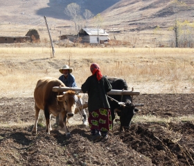 Продовольственная безопасность стран Центральной Азии